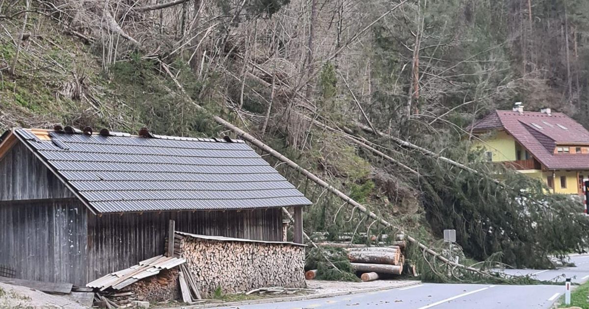 Zgornja Savinjska dolina zopet na udaru veter podiral drevesa več ur