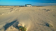 Bele sipine parka Dunas de Corralejo