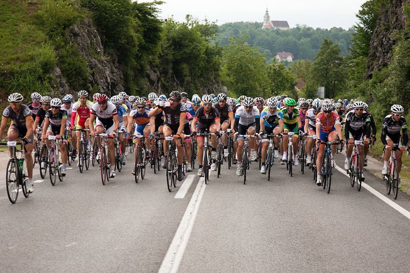 Franja bo rekordna, Tof pa se bo na pot podal kar s ponyjem! (foto: Leon Andrejaš)