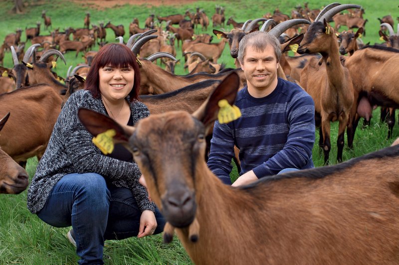 Potepali smo se v osrčju Krasa - na kmetiji Žerjal (foto: Goran Antley)