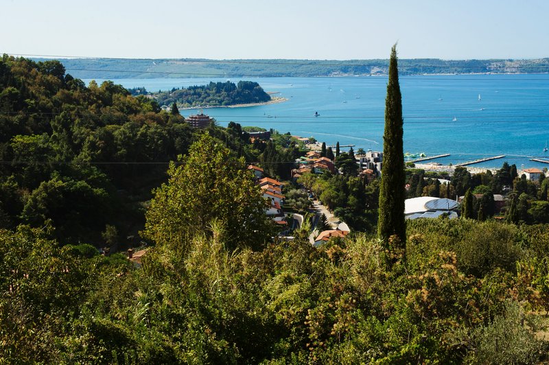 Portorož: V streljanju ranjen moški (foto: Promo)