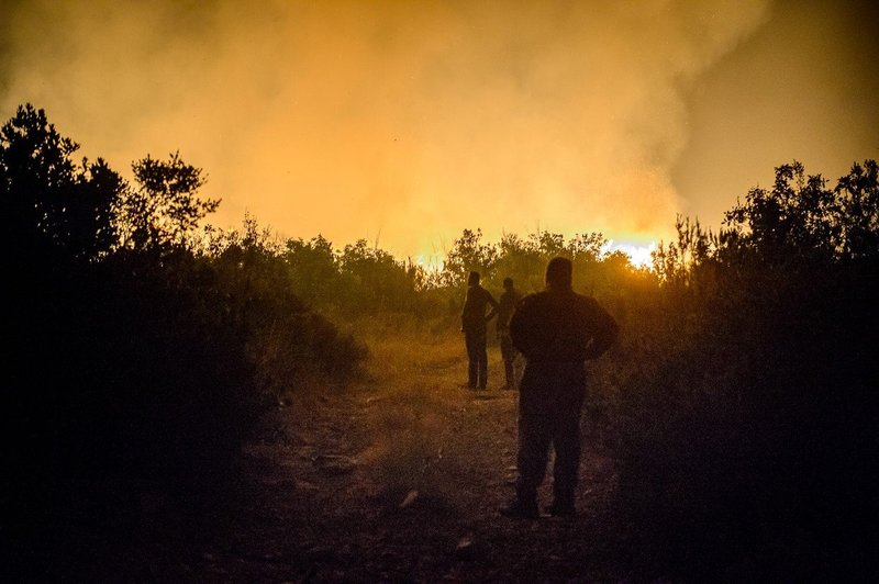 V Španiji požar terjal tri življenja (foto: Profimedia)