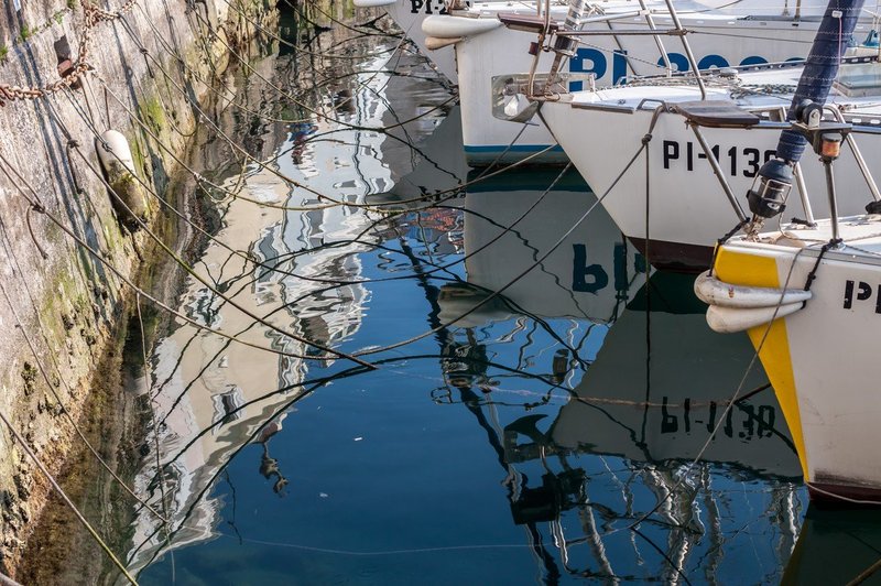 Savudrijska ribiča dobila kazni slovenske ribiške inšpekcije (foto: profimedia)