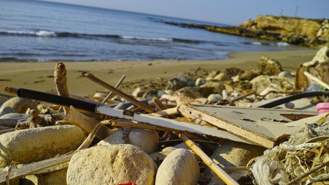 Ameriški in britanski znanstveniki odkrili encim, ki razgrajuje plastiko!