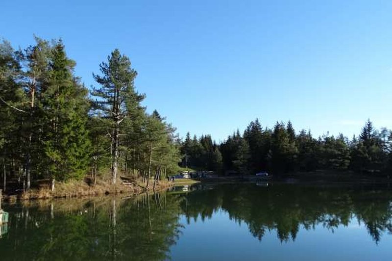 Jezero Rakitna: Kopanje odsvetovano zaradi fekalnih bakterij (foto: STA)