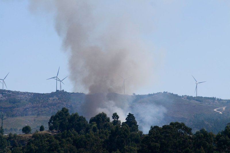 V gozdnem požaru na Portugalskem 24 ranjenih (foto: Profimedia)