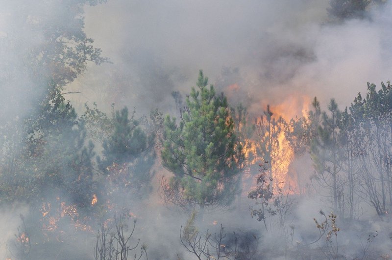 Jadranska magistrala zaprta zaradi požara pri Omišu, kraj Mimica brez elektrike (foto: profimedia)