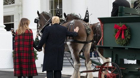 Združenje dopisnikov Bele hiše brez komika, ker se Trump ne zna smejati na svoj račun!