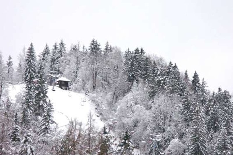 V avstrijskih Alpah je zaradi močnega sneženja obtičalo več tisoč ljudi (foto: STA)