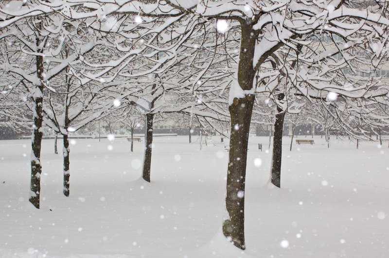 Sneg in nizke temperature po Evropi ovirajo promet in ogrožajo tako ljudi kot živali (foto: profimedia)