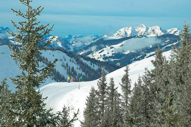 v Avstriji je slovenska smučarka preživela snežni plaz (foto: Profimedia)