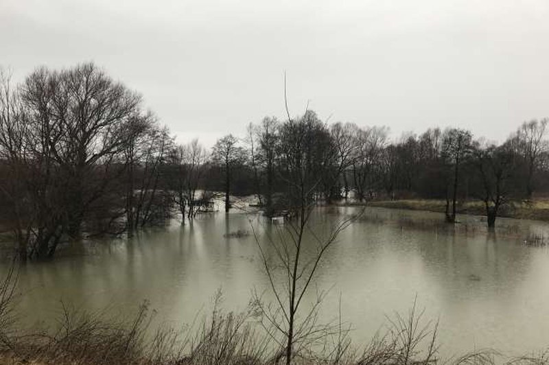 Notranjska reka Reka poplavlja, Kolpa in Vipava se razlivata na izpostavljenih mestih (foto: STA/Tatjana Žnidaršič)