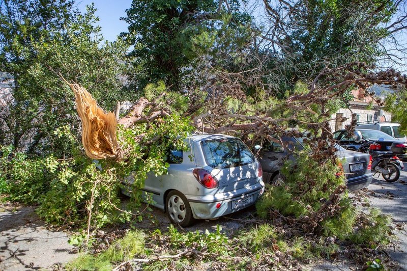 Neurja po Italiji terjala pet življenj, med njimi je tudi najstnik, ki je pomagal očetu pri popravilu škode (foto: profimedia)