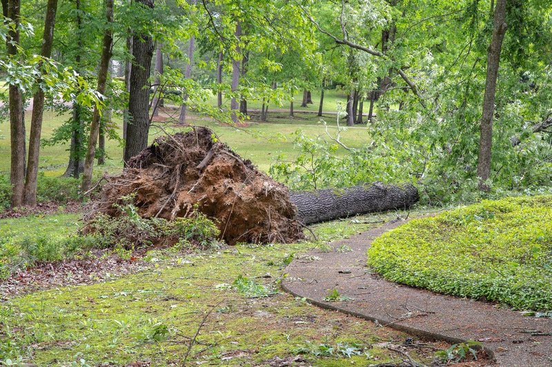 Močan veter povzročal številne nevšečnosti po državi (foto: Profimedia)