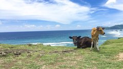 Hrib Bukit Merese, čudovita točka pri plaži Tanjung Aan.