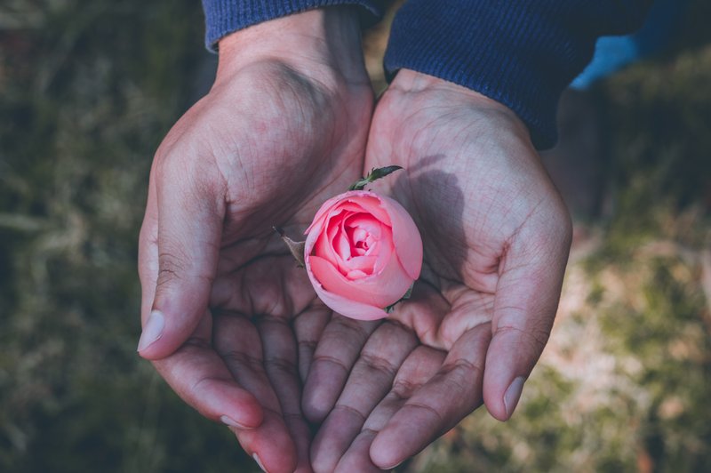 Tisti, ki so šli, nam tega ne bodo zamerili (foto: Unsplash)