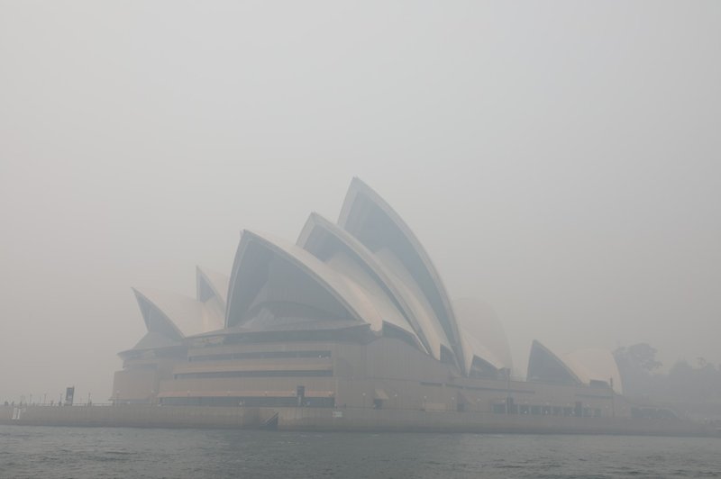 Sydney ponovno zavit v strupen dim gozdnih požarov (foto: profimedia)