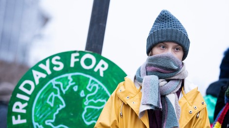 Greta Thunberg tudi na 17. rojstni dan pred švedskim parlamentom