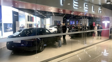 Tesla s pripravami za gradnjo tovarne, aktivista na drevesu nasprotujeta