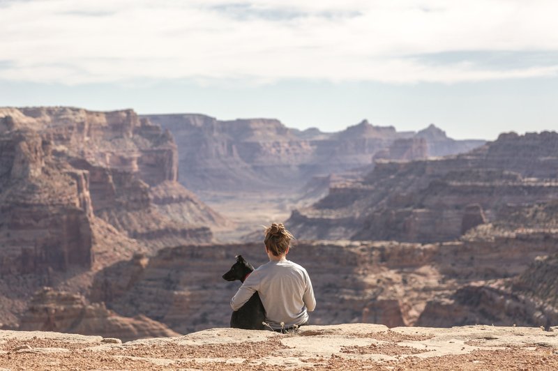 Do nadaljnjega tudi v medijski karanteni (piše: Petra Windschnurer) (foto: Unsplash)