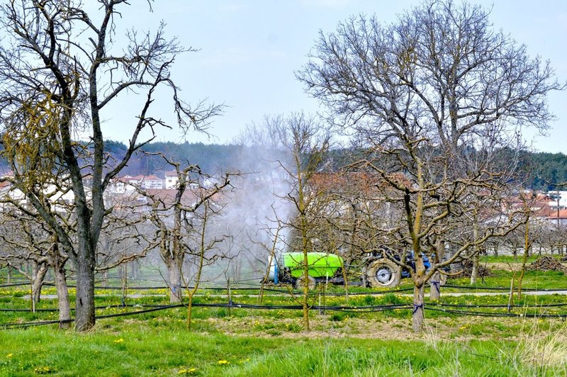 Začel je veljati nov odlok, s katerim je vlada nekoliko razrahljala ukrepe (foto: profimedia)