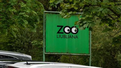 V ZOO Ljubljana ponovno odprta vivarij in otroški živalski vrt