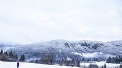 To je skupno vsem največjim kampanjam na Kickstarterju (piše: dr. Noah Charney)