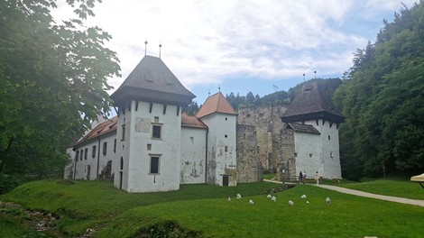 Kaj imajo Slovenske Konjice s konji in še 5 odličnih razlogov za obisk