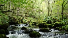 Ljubitelji pohodništva in kolesarstva tukaj pridejo na svoj račun. Do pravljičnega Mirtoviškega potoka je slabih 10 kilometrov.