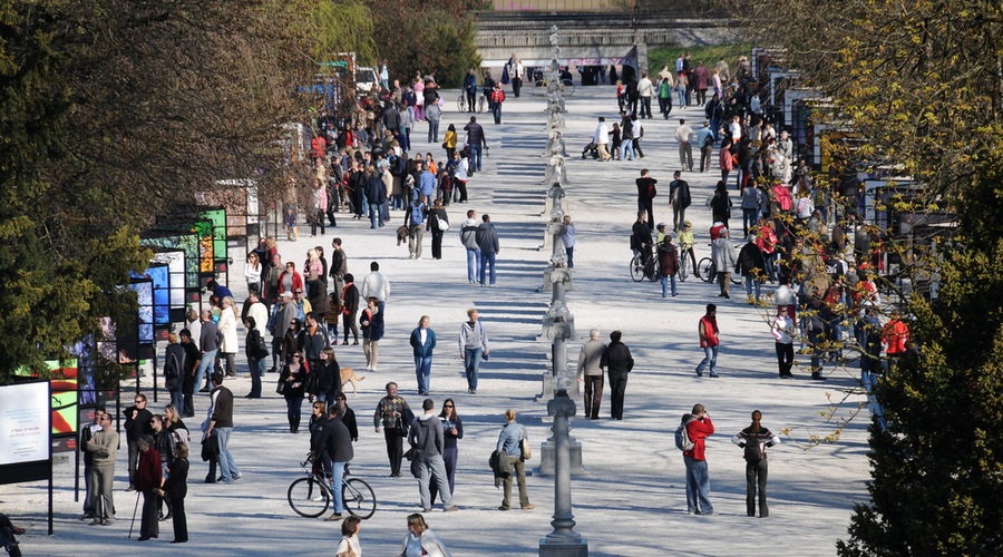 Aplikacija bo obvezna za okužene in v karanteni, podaljšuje se čakanje na delo (foto: Shutterstock)