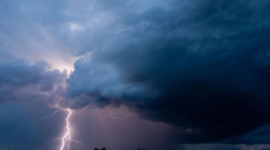 Na vzhodu države močan veter podiral drevesa in odkrival strehe (foto: Shutterstock)