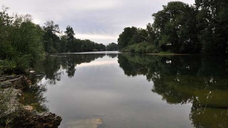 V Beli krajini veliko zanimanja za unovčevanje turističnih bonov