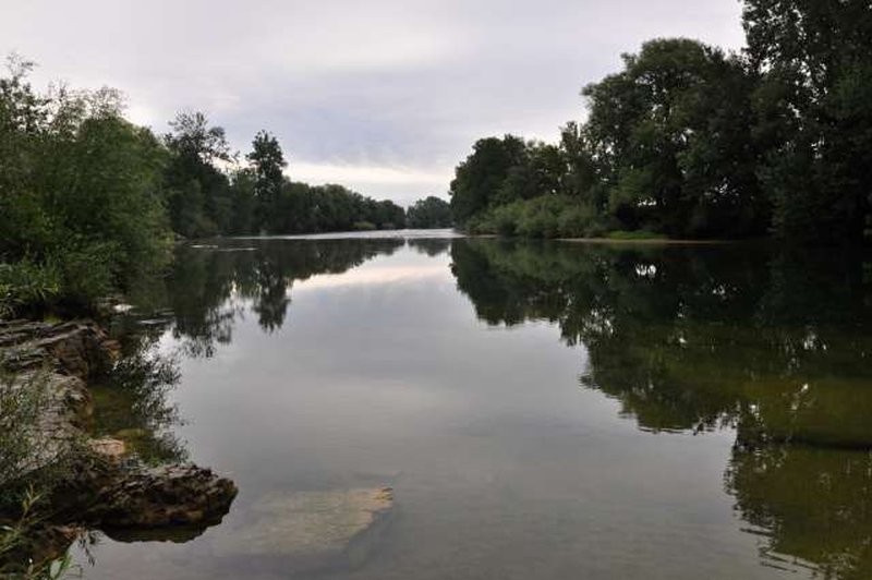 V Beli krajini veliko zanimanja za unovčevanje turističnih bonov (foto: Rasto Božič/STA)