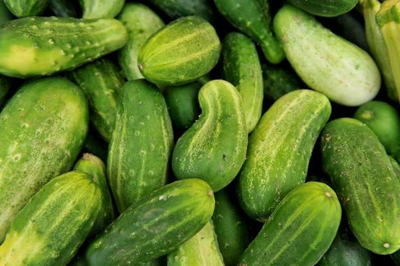 Prodaja kumaric na tržnicah manjša, cene pa so čedalje višje (foto: Tamino Petelinšek/STA)