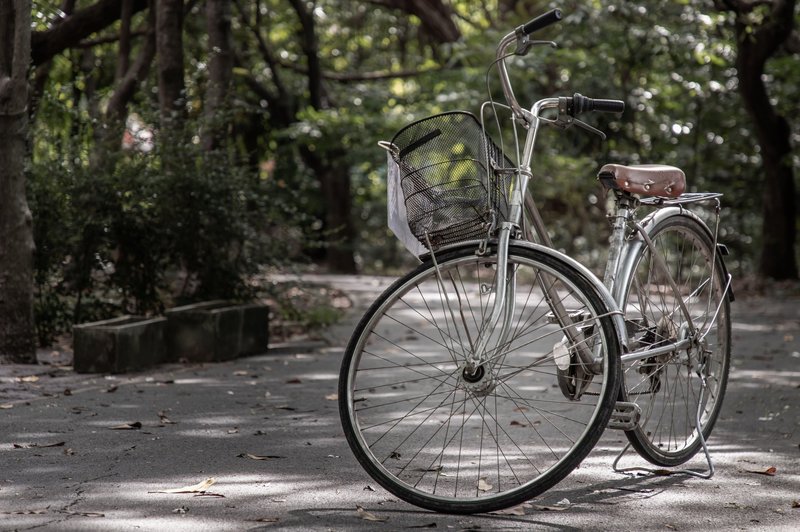 Na Gorenjskem so zagnali mrežo za izposojo koles Gorenjska.bike (foto: Profimedia)