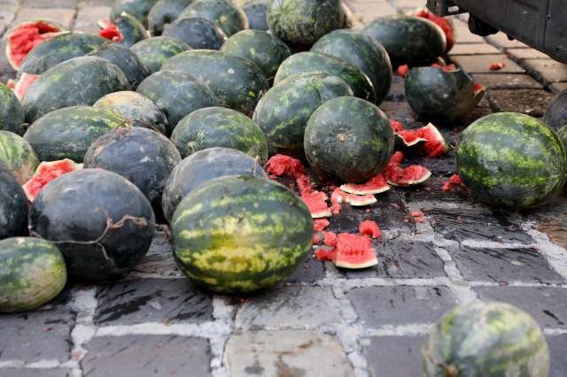 Hrvaški premier zaradi performansa z lubenicami zahteva okrepitev varnosti Banskih dvorov (foto: Hina/STA)