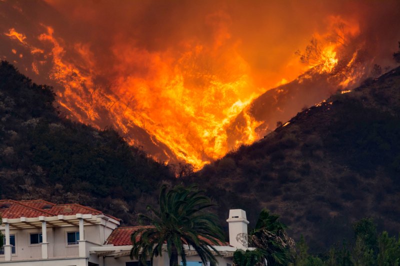 Požari na zahodu ZDA se širijo, v Oregonu ukazali evakuacijo pol milijona ljudi (foto: Shutterstock)