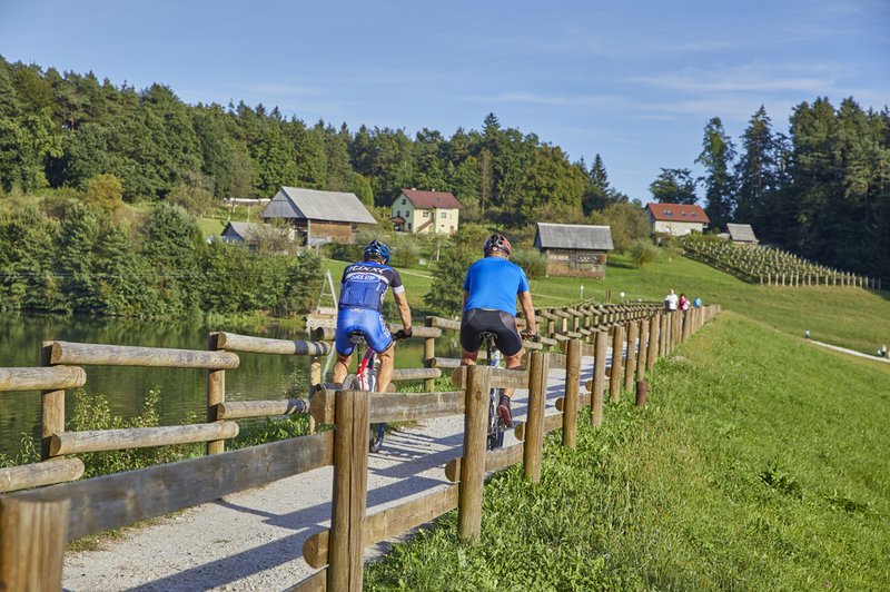 Doslej unovčenih čez 700.000 turističnih bonov, inšpektorat obravnava več sumov goljufij (foto: Shutterstock)