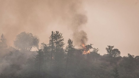 Požar v Ajdovščini, ki ga je hitro razpihovala burja, pod nadzorom