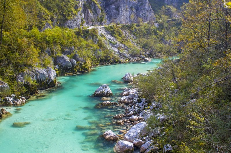 Okoljevarstvena akcija ob Soči za ohranitev narave in zdravja (foto: profimedia)