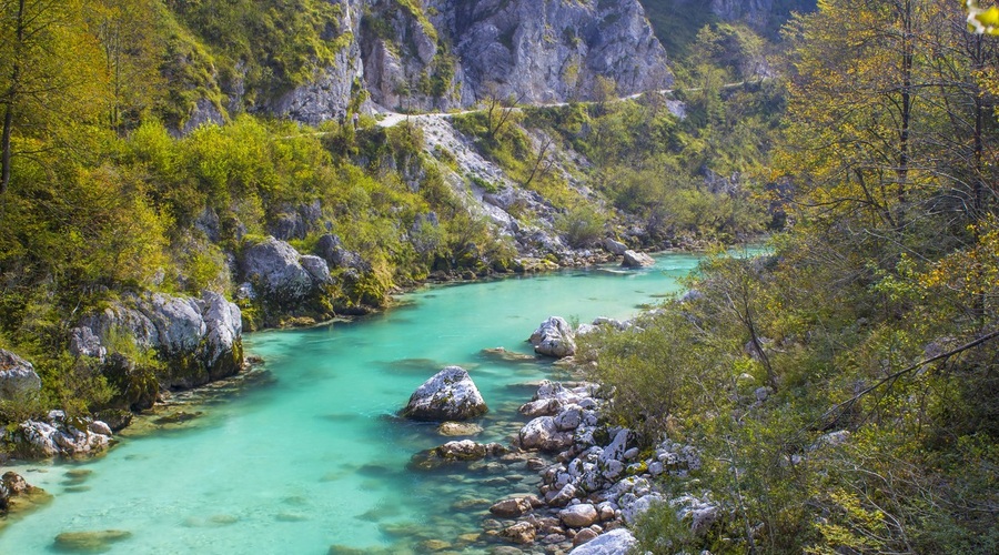 Okoljevarstvena akcija ob Soči za ohranitev narave in zdravja (foto: profimedia)