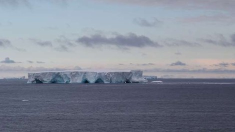 Največja ledena plošča na svetu se približuje odročnemu otoku v južnem Atlantskem oceanu