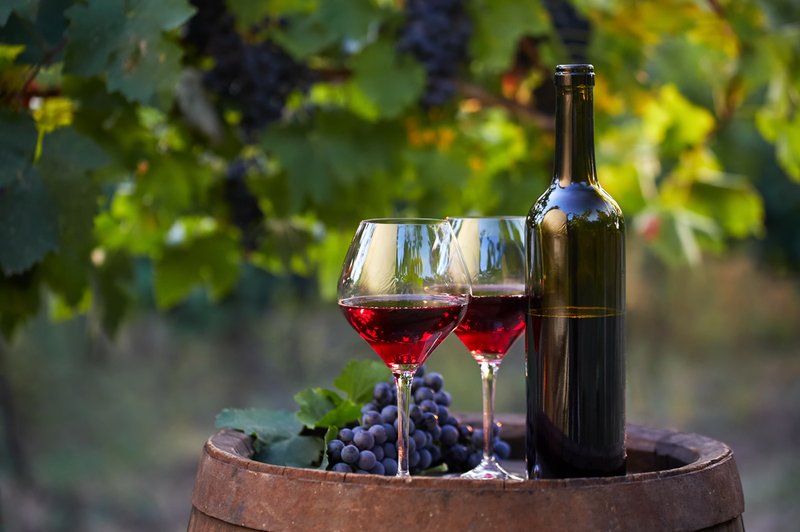 Vinogradniki in vinarji danes obeležujejo martinovo, a letos brez množičnih prireditev (foto: Shutterstock)