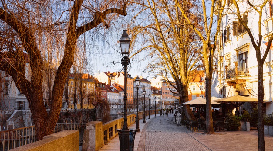 V sredo 1925 novih okužb, umrlo 41 covidnih bolnikov (foto: Shutterstock)