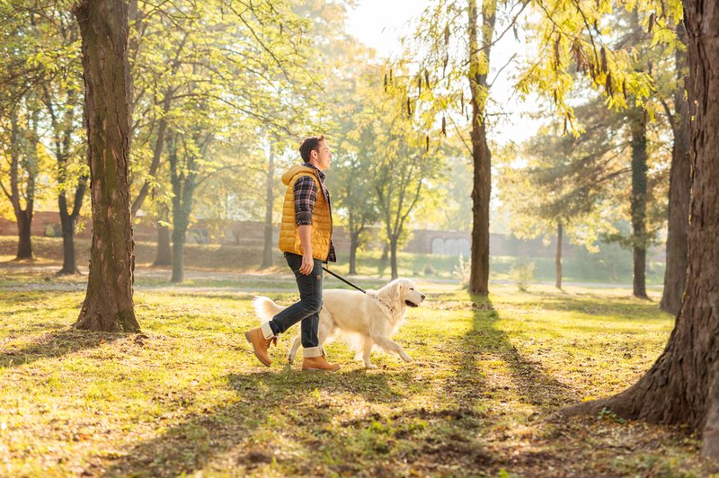 Nasveti strokovnjaka, kako naj tudi med epidemijo in delu od doma poskrbimo za telesno aktivnost (foto: Shutterstock)