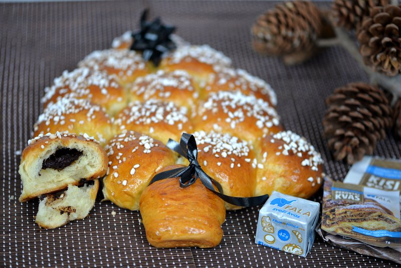 Smrekica za pojest? Z božansko lešnikovo kremo! (foto: PROFIMEDIA)