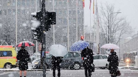 Meteorološka zima bo prinesla sneg