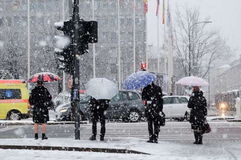 Meteorološka zima bo prinesla sneg (foto: STA)