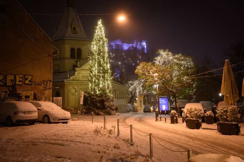 Največ snega je zapadlo na Notranjskem in Kočevskem, v prometu ne poročajo o večjih težavah (foto: Nebojša Tejić/STA)