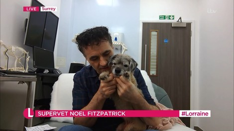 Noel Fitzpatrick: »Zaprl sem oči, da bi ustavil bolečino, Pirate pa me je lizal po solznem obrazu.«